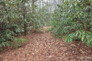 00 Barking Dog Ln, Burnsville, NC 28714 - Photo 1