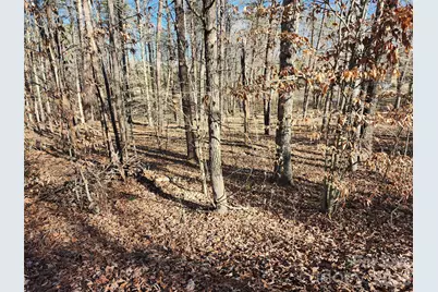 0000 Forest Ridge Road #22, Tryon, NC 28782 - Photo 1