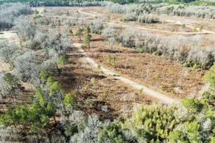 0000 Thistledown Rd, Cheraw, SC 29520 - Photo 1