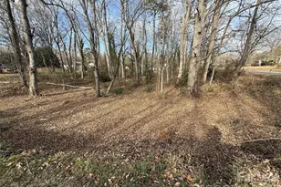 Lot 10 11 Buffalo Shoals Rd, Statesville, NC 28677 - Photo 1