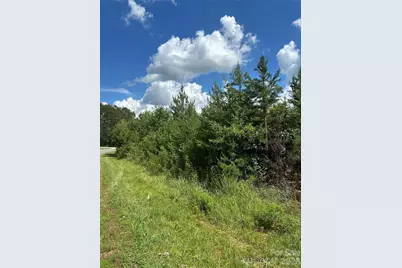 000 Mauney Road, Bessemer City, NC 28016 - Photo 1