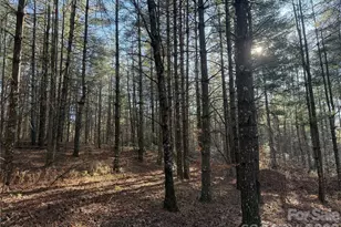 1291 Scenic Vista Dr, Nebo, NC 28761 - Photo 1