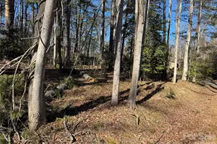 133 Springside Rd, Asheville, NC 28803 - Photo 1