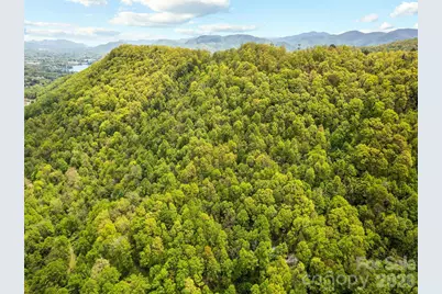 00 Locust Trail, Waynesville, NC 28785 - Photo 1