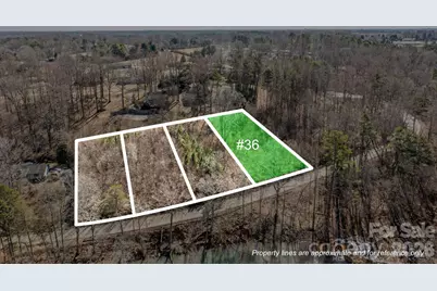 0 Old Wilkesboro Road #36, Statesville, NC 28625 - Photo 1