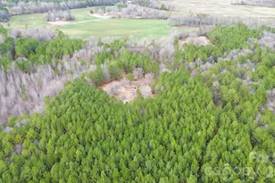106 Legrand Rd, Mount Gilead, NC 27306 - Photo 1