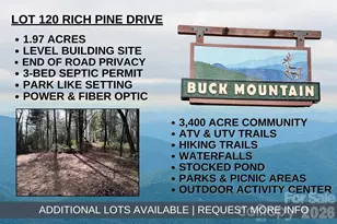 Tbd Rich Pine Dr, Purlear, NC 28665 - Photo 1