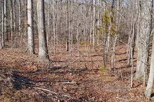 00 County Line Road S, Rutherfordton, NC 28139 - Photo 1