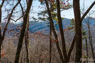 92 Smokey Ridge Trail, Arden, NC 28704 - Photo 1