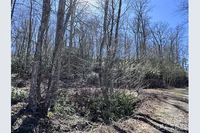 000 Walk About Trail, Fletcher, NC 28732 - Photo 1