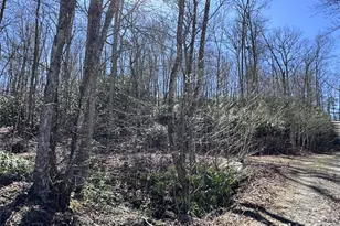 000 Walk About Trail, Fletcher, NC 28732 - Photo 1