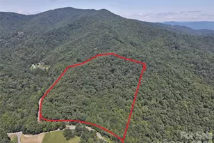2166 Cove Creek Rd, Waynesville, NC 28785 - Photo 1