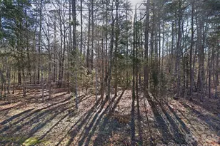 140 S Lentz Harness Shop Rd, Mount Pleasant, NC 28124 - Photo 1