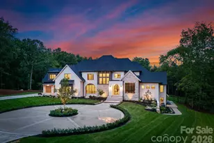 15037 June Washam Rd, Davidson, NC 28036 - Photo 1