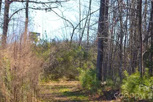 00 Bobby Faucette Rd, Jonesville, SC 29353 - Photo 1