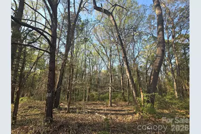 00 Aziza Road, Rock Hill, SC 29732 - Photo 1