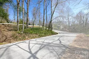 47 Chestnut Ln, Hendersonville, NC 28792 - Photo 1