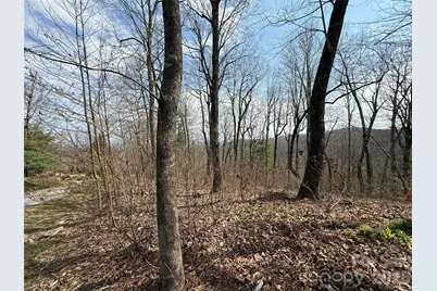 108 Fawncrest Court #51 - R, Flat Rock, NC 28731 - Photo 1
