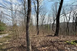 108 Fawncrest Ct, Flat Rock, NC 28731 - Photo 1