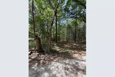 00 William Stevenson Road, Richburg, SC 29729 - Photo 1
