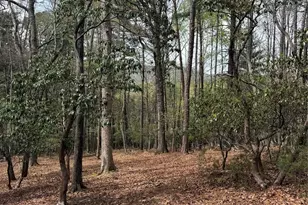 1553 Country View Way, Arden, NC 28704 - Photo 1