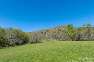 99999 Clarke Rd, Asheville, NC 28805 - Photo 1