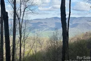 Lt 70 Old Growth Way, Sylva, NC 28779 - Photo 1