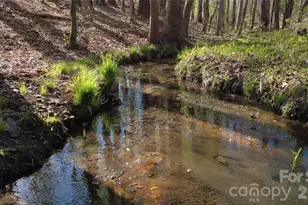 00 Peter Hawk Creek Rd, Jonesville, SC 29353 - Photo 1