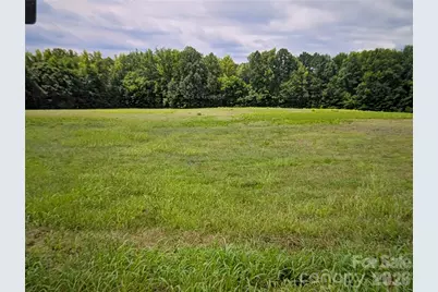 0000 Oak Drive, McConnells, SC 29726 - Photo 1