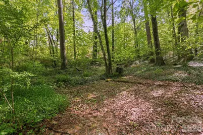 000 Skyline Drive #17, Hendersonville, NC 28791 - Photo 1