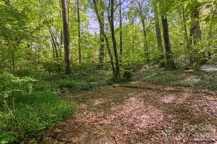000 Skyline Dr, Hendersonville, NC 28791 - Photo 1