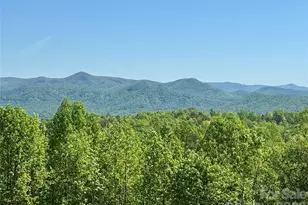 0 Doe Hallow Trl, Nebo, NC 28761 - Photo 1