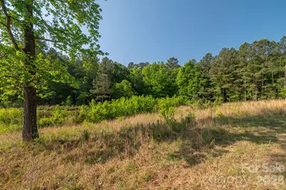 0 Potter Road, Lancaster, SC 29720 - Photo 1