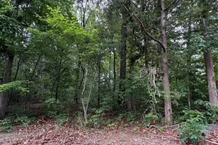 12335 Hartwood Rd, Midland, NC 28107 - Photo 1