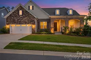 900 Raffaelo View, Mount Holly, NC 28120 - Photo 1
