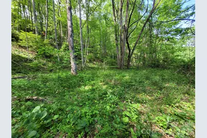 00 Fox Run Road, Waynesville, NC 28785 - Photo 1