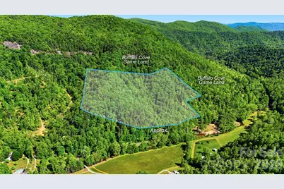 0 Buffalo Cove Road, Lenoir, NC 28645 - Photo 1