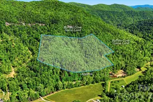 0 Buffalo Cove Rd, Lenoir, NC 28645 - Photo 1