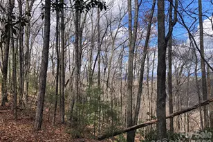 Tbd Bobcat Mountain Rd, Purlear, NC 28665 - Photo 1