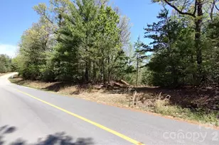 0 Staghorn Rd, Purlear, NC 28665 - Photo 1