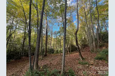 6 Dividing Ridge Trail #01, Arden, NC 28704 - Photo 1