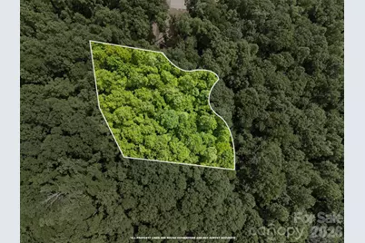 145 Hickory Tree Lane, Hendersonville, NC 28739 - Photo 6