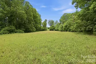 Tbd Tract C Pole Miller Ext, Brevard, NC 28712 - Photo 1