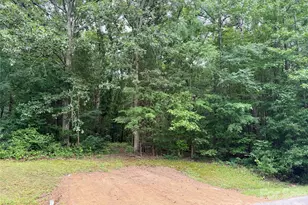800 Pilgrim Forest Dr, Monroe, NC 28110 - Photo 1