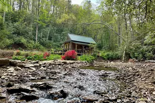 204 Rush Creek Rd, Black Mountain, NC 28711 - Photo 1