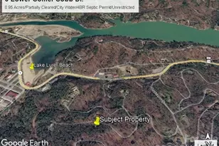 0 Lower Collier Cobb Dr, Lake Lure, NC 28746 - Photo 1