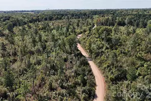 Lot 10 Farris Cato Rd, Pageland, SC 29728 - Photo 1