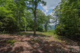 Tbd Reserve Rd, Pisgah Forest, NC 28768 - Photo 1
