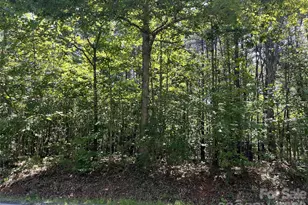0 Rock Rd, Rutherfordton, NC 28139 - Photo 1