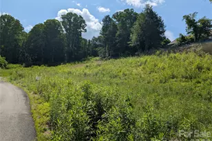 119 Randolph Ave, Black Mountain, NC 28711 - Photo 1